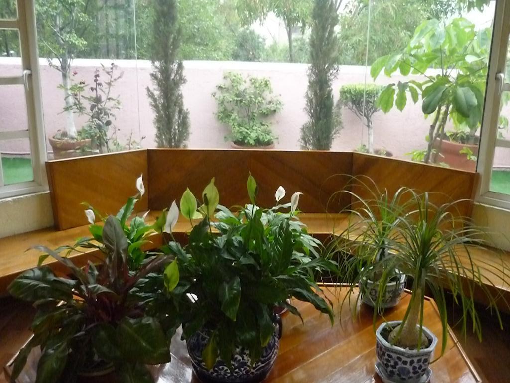 Casona Roma Norte เม็กซิโกซิตี้ ภายนอก รูปภาพ